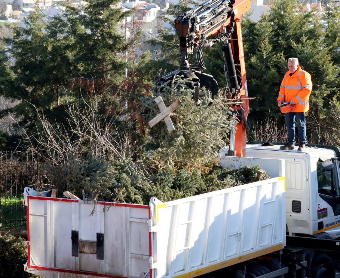 Εκατοντάδες χριστουγεννιάτικα δέντρα του δήμου Νεάπολης-Συκεών προς ανακύκλωση