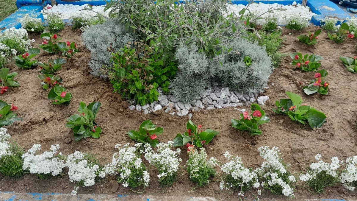 Πρασινίζει και γεμίζει λουλούδια ο δήμος Νεάπολης-Συκεών
