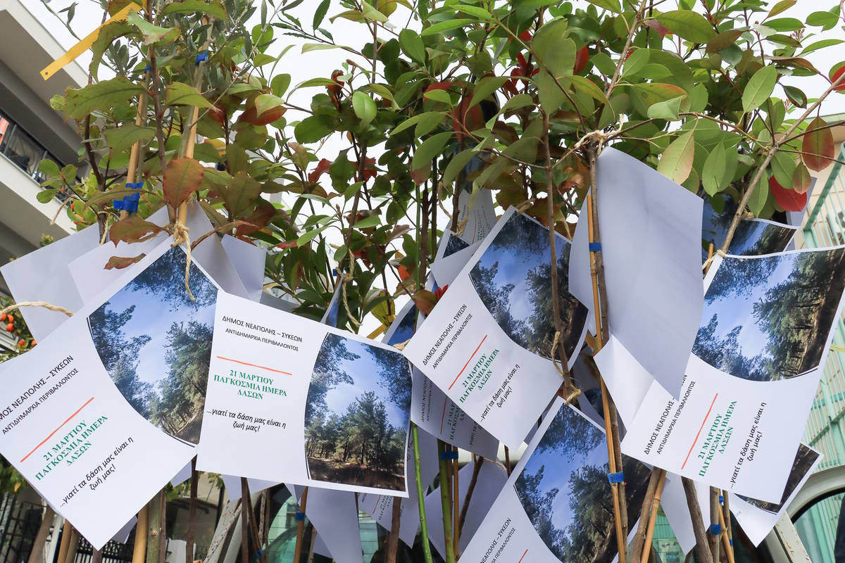 Με ένα δέντρο σε κάθε σχολείο τίμησε  ο δήμος την Παγκόσμια Ημέρα Δασών